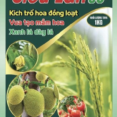 SIÊU LÂN 86-Kích mầm-Chặn đọt